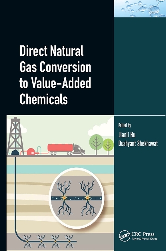 Бумажная книга «Direct Natural Gas Conversion to Value-Added Chemicals» - фото №1