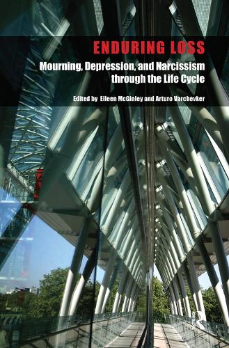 Бумажная книга «Enduring Loss: Mourning, Depression and Narcissism Throughout the Life Cycle» - фото №1