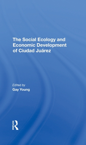 Бумажная книга «The Social Ecology And Economic Development Of Ciudad Juarez», авторов Гей Янг, Кэтлин А. Стаудт, Оскар Дж. Мартинес, Роберт Х. Шмидт - фото №1