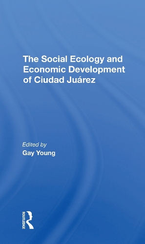 Бумажная книга «The Social Ecology And Economic Development Of Ciudad Juarez», авторов Гей Янг, Кэтлин А. Стаудт, Оскар Дж. Мартинес, Роберт Х. Шмидт - фото №1