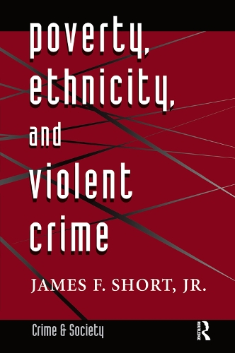 Бумажная книга «Poverty, Ethnicity, And Violent Crime» - фото №1