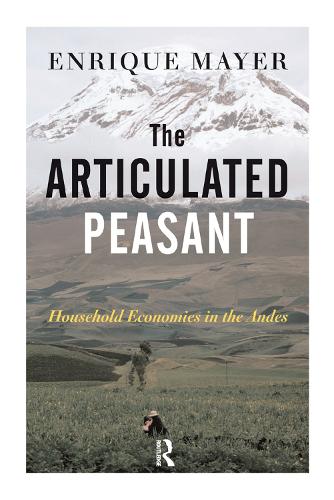 Бумажная книга «The Articulated Peasant: Household Economies In The Andes», автор Энрике Майер - фото №1