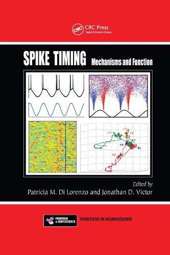 Бумажная книга «Spike Timing: Mechanisms and Function» - фото №1