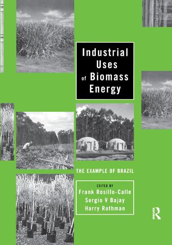 Бумажная книга «Industrial Uses of Biomass Energy: The Example of Brazil» - фото №1