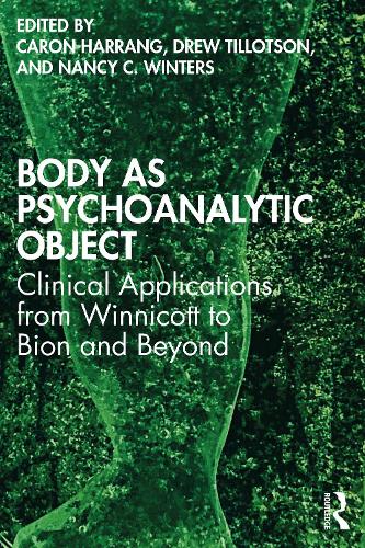 Бумажная книга «Body as Psychoanalytic Object: Clinical Applications from Winnicott to Bion and Beyond» - фото №1