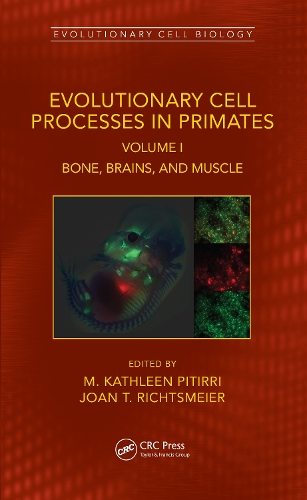 [object Object] «Evolutionary Cell Processes in Primates: Bone, Brains, and Muscle, Volume I» - фото №1
