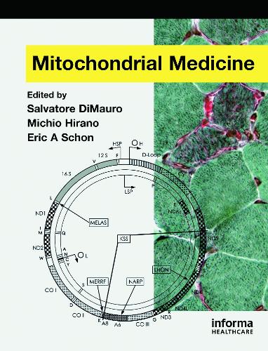 Паперова книга «Mitochondrial Medicine», авторів Ерік А. Шон, Мічіо Хірано, Сальваторе ДіМауро - фото №1