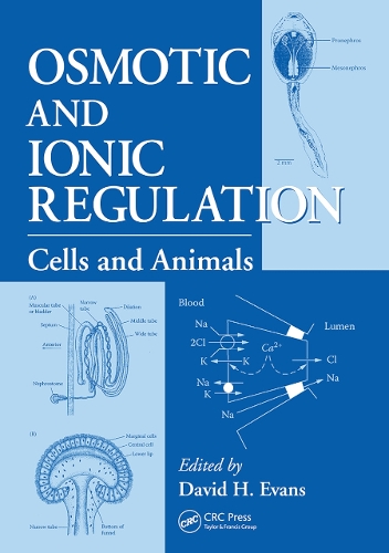 Бумажная книга «Osmotic and Ionic Regulation: Cells and Animals» - фото №1