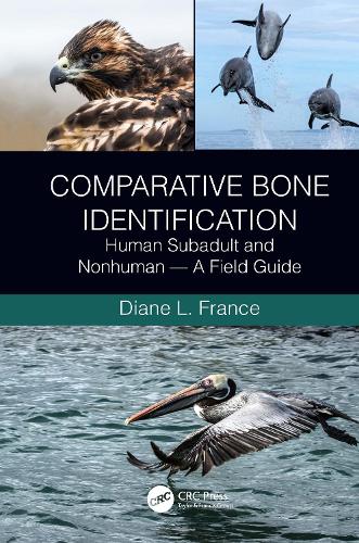 Паперова книга «Comparative Bone Identification: Human Subadult and Nonhuman - A Field Guide», автор Діана Л. Франс - фото №1