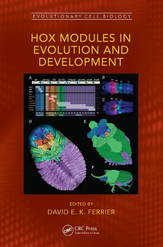 Паперова книга «Hox Modules in Evolution and Development» - фото №1