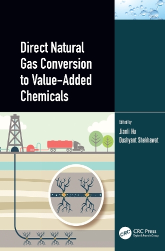 Бумажная книга «Direct Natural Gas Conversion to Value-Added Chemicals» - фото №1