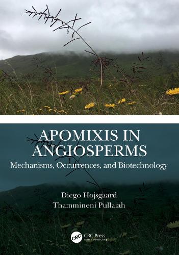 Паперова книга «Apomixis in Angiosperms: Mechanisms, Occurrences, and Biotechnology», авторів Дієго Хойсгаард, Таммінені Пуллая - фото №1