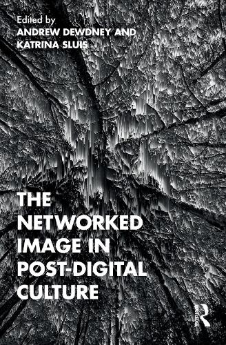 Бумажная книга «The Networked Image in Post-Digital Culture» - фото №1