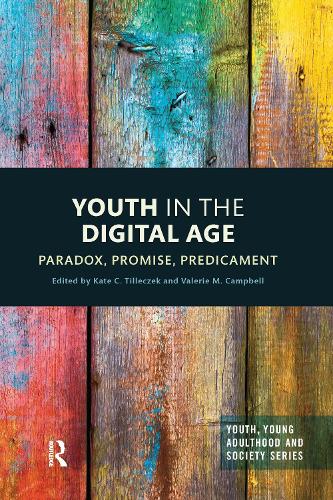 Бумажная книга «Youth in the Digital Age: Paradox, Promise, Predicament» - фото №1