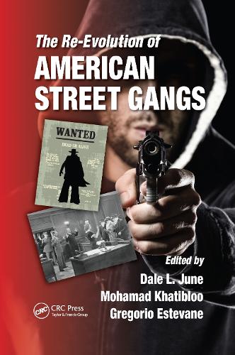 Паперова книга «The Re-Evolution of American Street Gangs» - фото №1