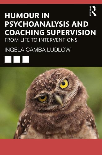 Паперова книга «Humour in Psychoanalysis and Coaching Supervision: From Life to Interventions», автор Інгела Камба Ладлоу - фото №1