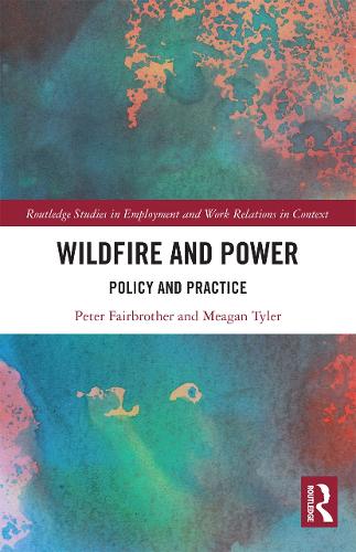 Бумажная книга «Wildfire and Power: Policy and Practice», авторов Миган Тайлер, Питер Фэрброзер - фото №1