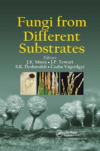 [object Object] «Fungi From Different Substrates» - фото №1