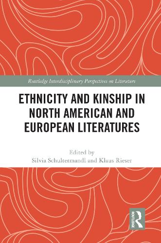 Бумажная книга «Ethnicity and Kinship in North American and European Literatures» - фото №1