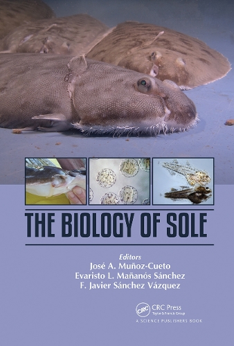 Бумажная книга «The Biology of Sole» - фото №1