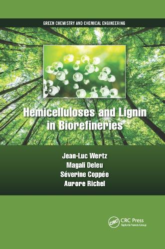 Бумажная книга «Hemicelluloses and Lignin in Biorefineries», авторов Аврора Ришель, Жан-Люк Вертц, Магали Делеу, Северин Коппе - фото №1