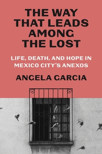 Бумажная книга «The Way That Leads Among the Lost: Life, Death, and Hope in Mexico City's Anexos», автор Анджела Гарсия - фото №1