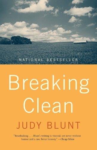 Бумажная книга «Breaking Clean», автор Джуди Блант - фото №1