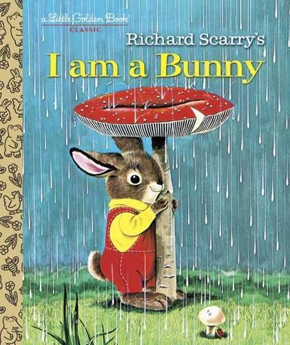 Бумажная книга «I Am A Bunny», автор Оле Рисом - фото №1