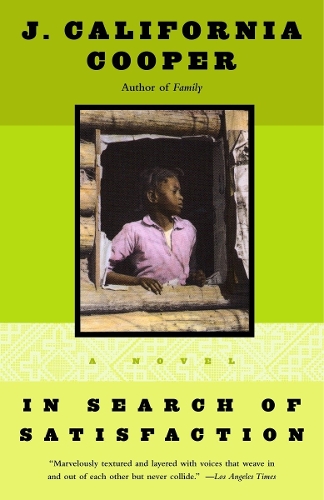 Бумажная книга «In Search of Satisfaction», автор Дж. Калифорния Купер - фото №1