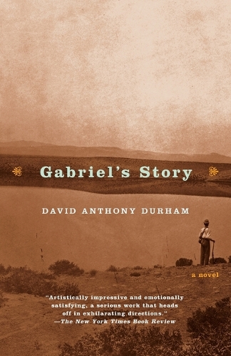 Бумажная книга «Gabriel's Story: A Novel (Hurston/Wright LEGACY Award)», автор Дэвид Энтони Дархем - фото №1