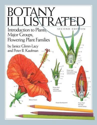 Бумажная книга «Botany Illustrated: Introduction to Plants, Major Groups, Flowering Plant Families», авторов Дженис Глимн-Лейси, Питер Б. Кауфман - фото №1