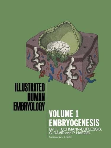 Паперова книга «Embryogenesis», авторів Г. Девід, Г. Тухманн-Дюплессі, П. Гегель - фото №1