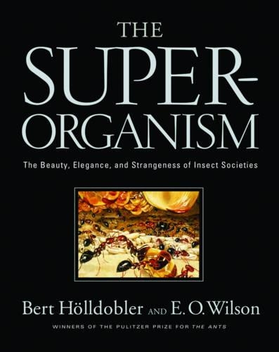 Бумажная книга «The Superorganism: The Beauty, Elegance, and Strangeness of Insect Societies», автор Берт Хёльдоблер - фото №1