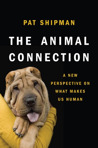 Бумажная книга «The Animal Connection: A New Perspective on What Makes Us Human», автор Пэт Шипман - фото №1
