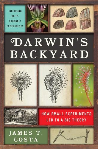 Бумажная книга «Darwin's Backyard: How Small Experiments Led to a Big Theory», автор Джеймс Т. Коста - фото №1