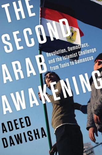 Бумажная книга «The Second Arab Awakening: Revolution, Democracy, and the Islamist Challenge from Tunis to Damascus», автор Адид Давиша - фото №1