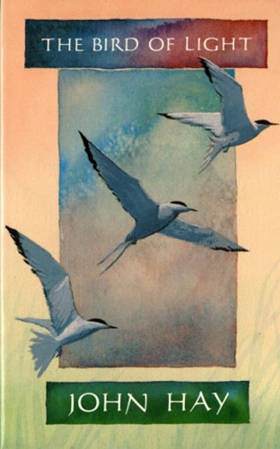 Бумажная книга «The Bird of Light», автор Джон Хэй - фото №1