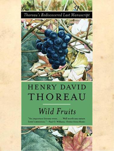 Бумажная книга «Wild Fruits: Thoreau's Rediscovered Last Manuscript», автор Генри Дэвид Торо - фото №1