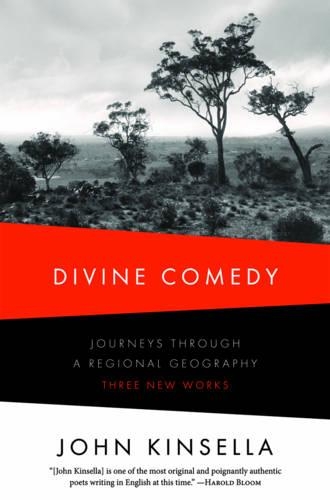 Бумажная книга «Divine Comedy: Journeys Through a Regional Geography: Three New Works», автор Джон Кинселла - фото №1