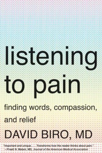 Бумажная книга «Listening to Pain: Finding Words, Compassion, and Relief», автор Дэвид Биро - фото №1