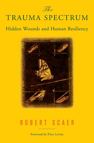 Бумажная книга «The Trauma Spectrum: Hidden Wounds and Human Resiliency», автор Роберт Скаер - фото №1