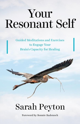 Паперова книга «Your Resonant Self: Guided Meditations and Exercises to Engage Your Brain's Capacity for Healing», автор Сара Пейтон - фото №1