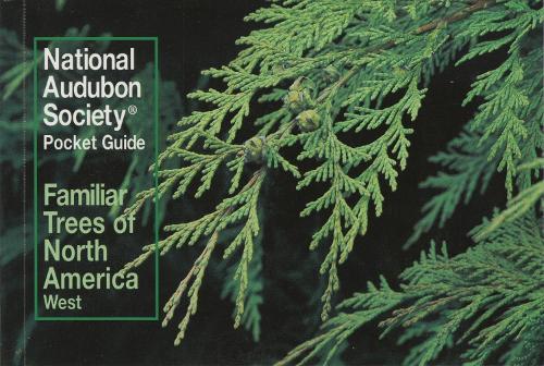 Бумажная книга «National Audubon Society Pocket Guide to Familiar Trees: West», автор National Audubon Society - фото №1