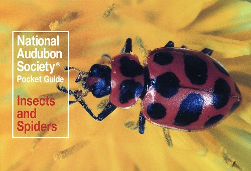 Бумажная книга «National Audubon Society Pocket Guide: Insects and Spiders», автор National Audubon Society - фото №1