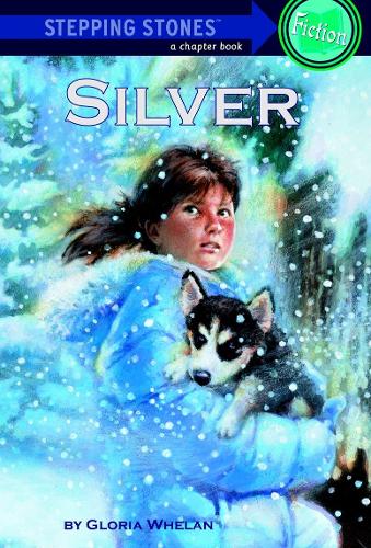 Паперова книга «Silver», автор Глорія Вілан - фото №1