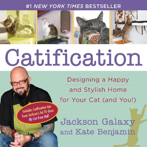 Бумажная книга «Catification: Designing a Happy and Stylish Home for Your Cat (and You!)», авторов Джексон Гэлакси, Кейт Бенджамин - фото №1