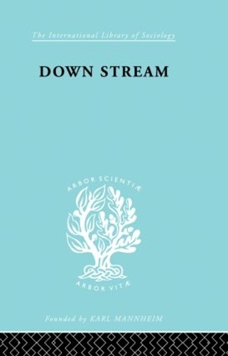 Паперова книга «Down Stream: Failure in the Grammar School» - фото №1