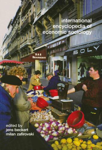Паперова книга «International Encyclopedia of Economic Sociology» - фото №1