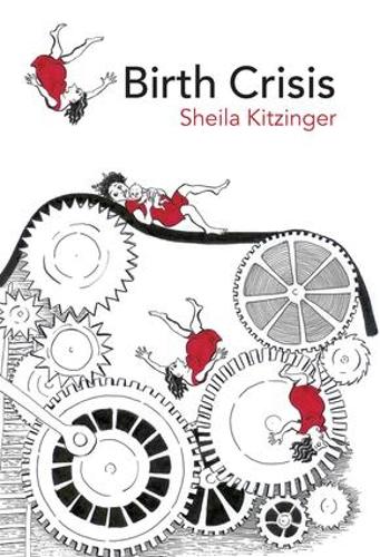 Бумажная книга «Birth Crisis», автор Шейла Китцингер - фото №1