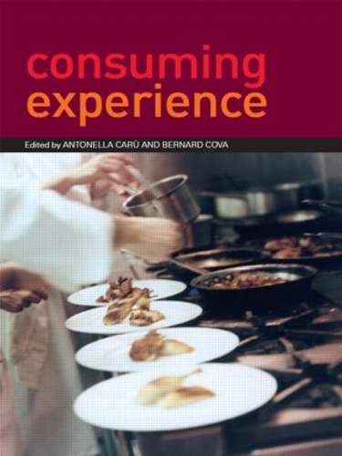 Паперова книга «Consuming Experience» - фото №1